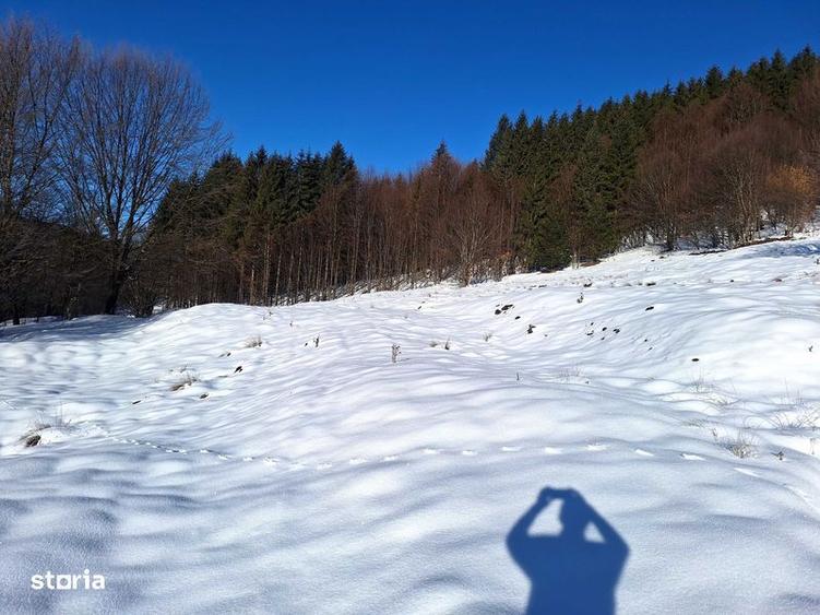Teren de 8700 mp, în Tărlungeni