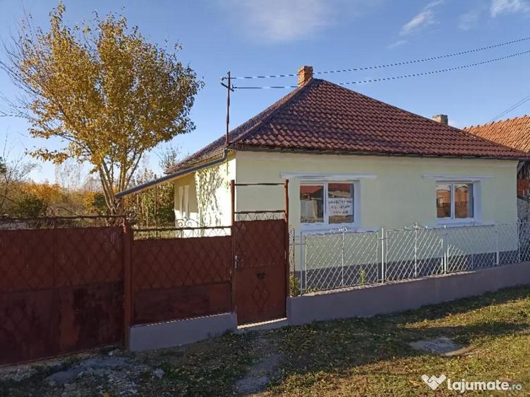 casa cu gradina la tara - 15