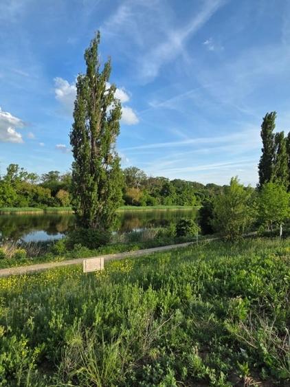 Teren Construcții intravilan de 520 mp, în Corbeanca