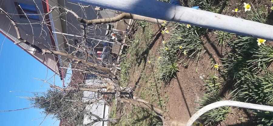Casă cu 4 camere cu Teren 800 Mp în Central