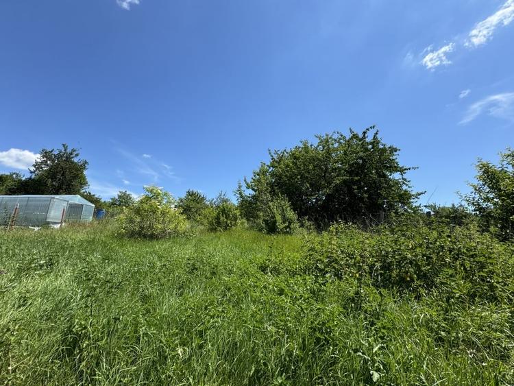 Teren Construcții intravilan de 1775 mp, în Chinteni