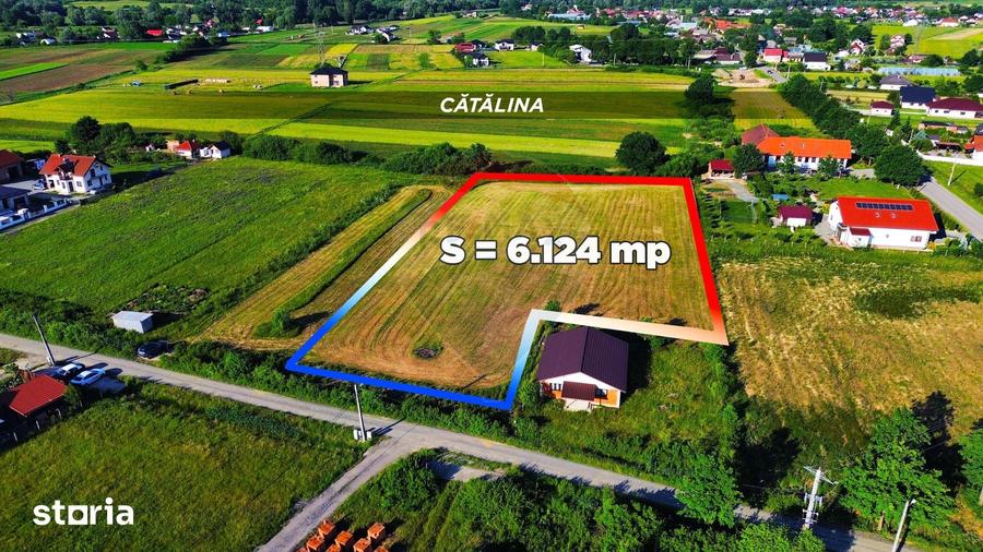 Acuma ai ocazia sa cumperi un teren aproape de Baia Mare sub 1000E/ar - 6