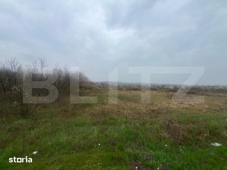 Teren de 4650 mp, în Almăj