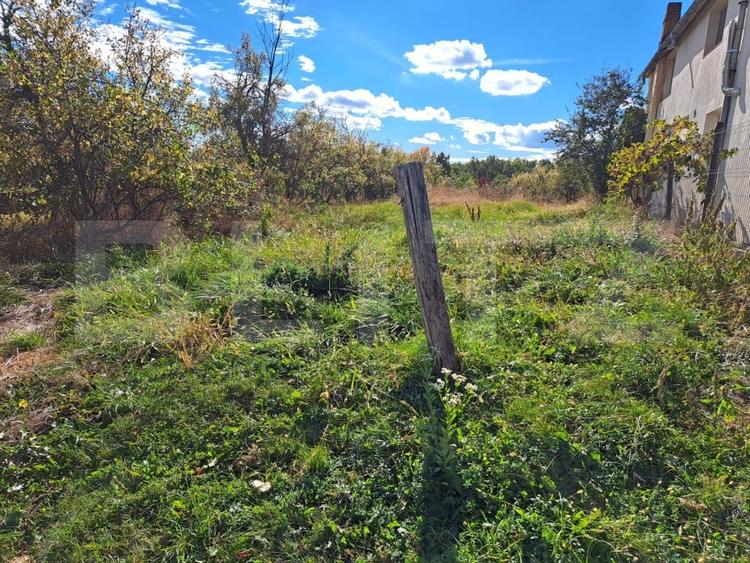 Teren Construcții intravilan de 2992 mp, în Băbana