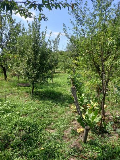 Casă cu 5 camere cu Teren 1600 Mp în Doicești