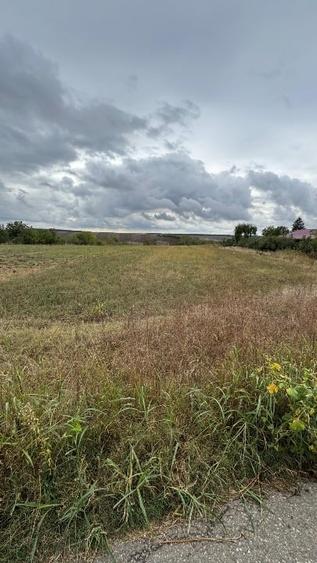 Teren agricol intravilan de 1400 mp, în Comana