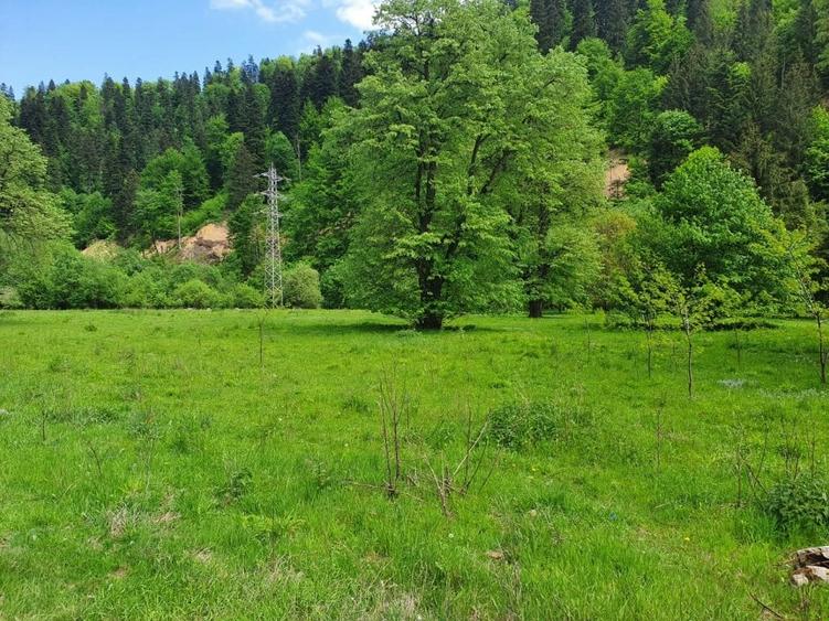 Teren Construcții intravilan de 20217 mp, în Exterior Sud