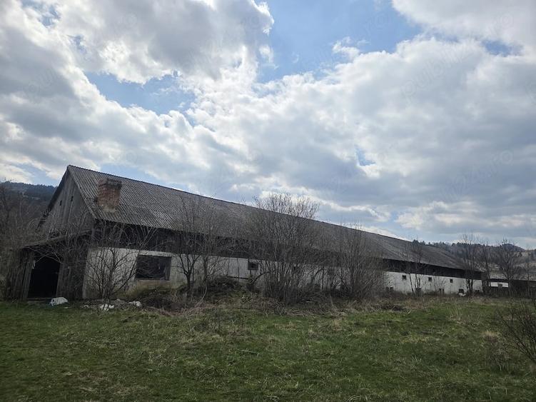 Teren de 28000 mp, în Tulgheș