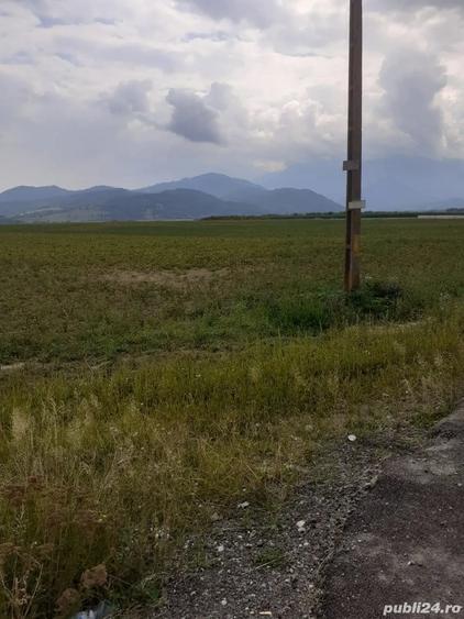 Teren de 5000 mp, în Central
