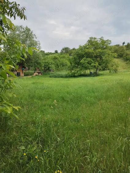 Teren de 900 mp, în Cojocna