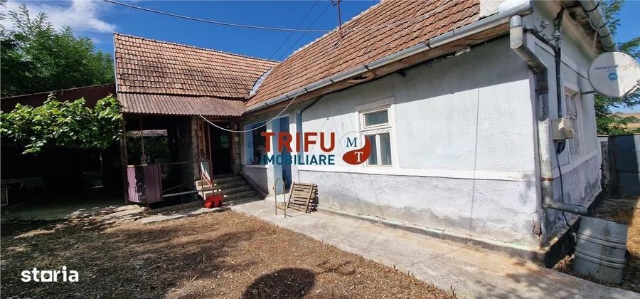 Casă cu 3 camere în Central