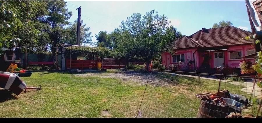 Casă cu 2 camere în Ariniș