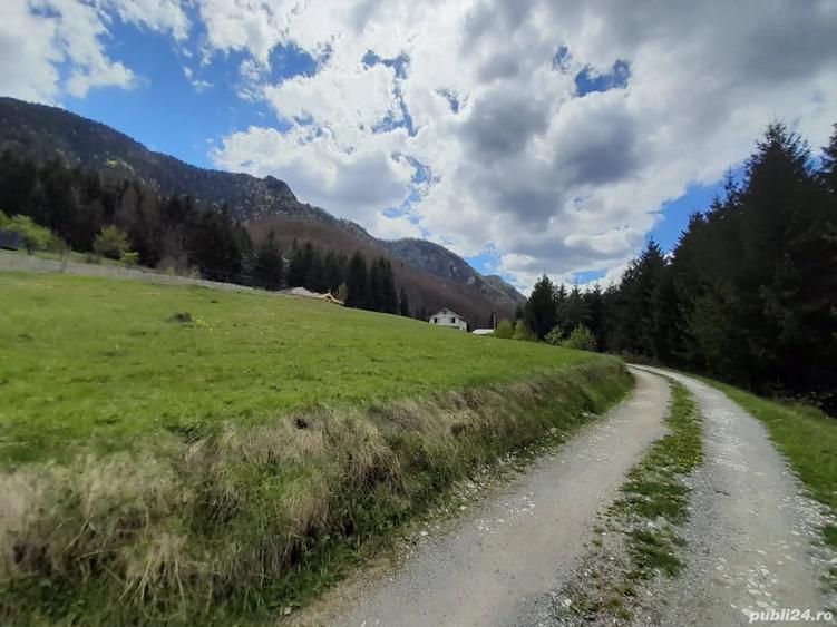 Teren de 950 mp, în Vidra