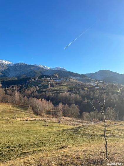 Teren de 10000 mp, în Bran