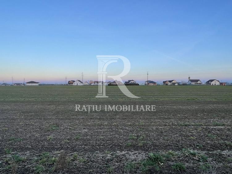 Teren Construcții intravilan de 500 mp, în Livada de Bihor