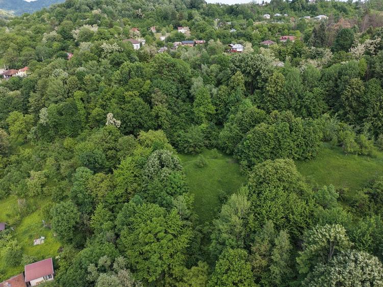 Teren Construcții intravilan de 17000 mp, în Doftana