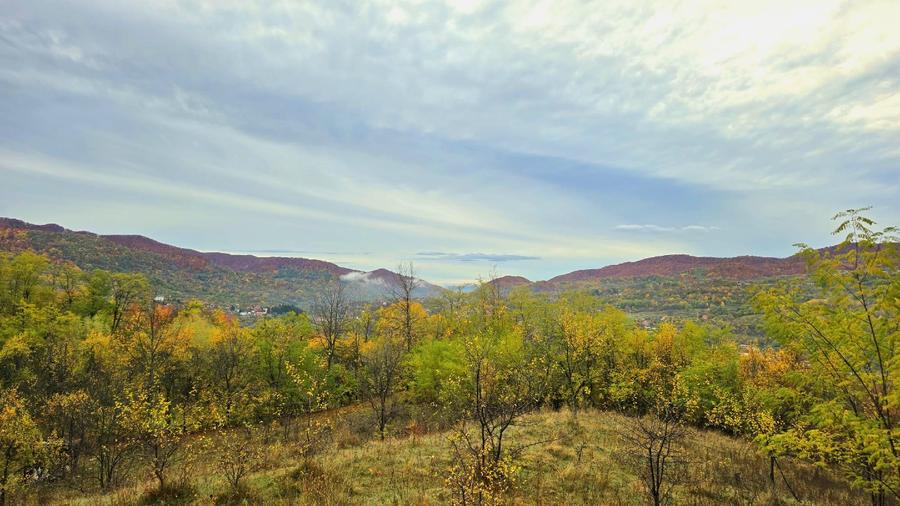Teren agricol extravilan de 4570 mp, în Corbeni