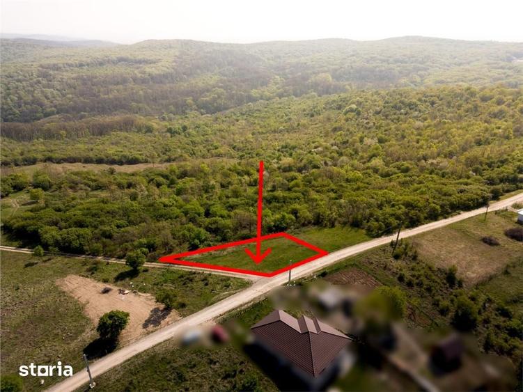 Teren de 534 mp, în Paleu