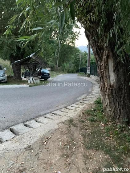 teren intravilan comuna izvoarele sat homoraciu prahova