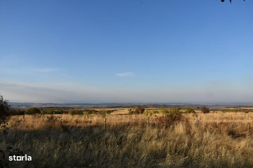 Casă cu 4 camere cu Teren 2300 Mp în Sava