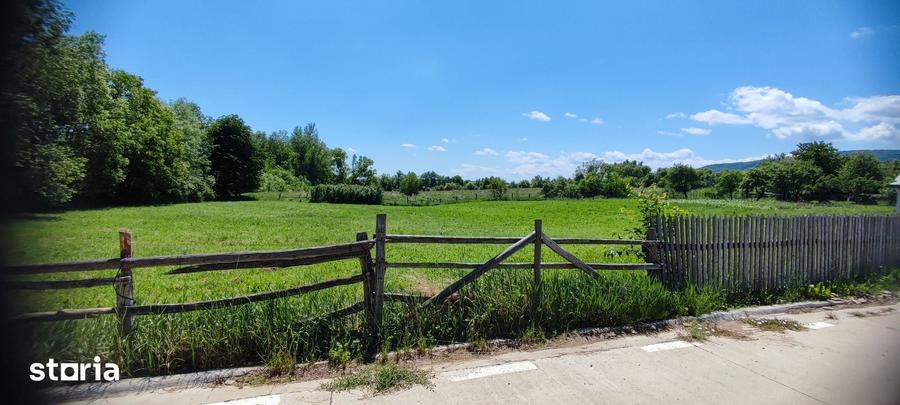 Teren de 1330 mp, în Negrești