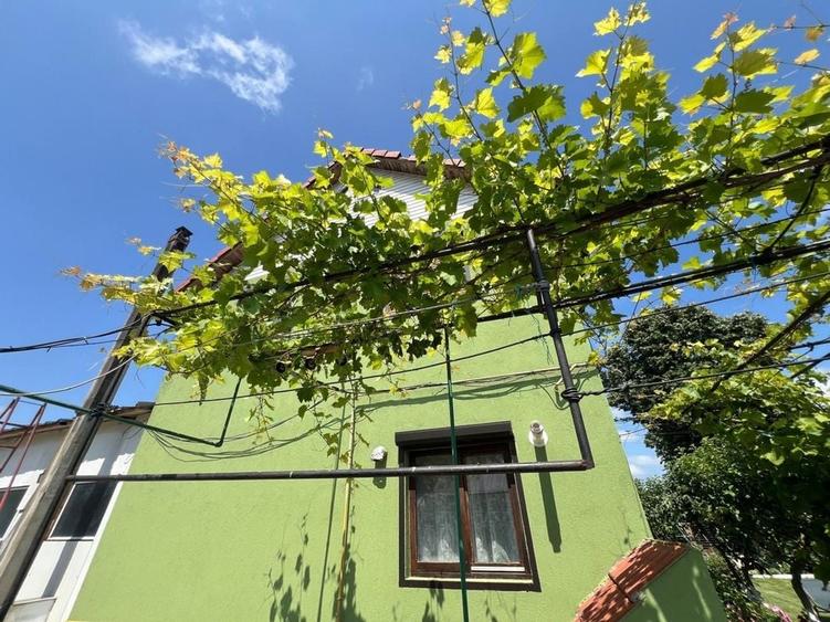 Casă cu 4 camere în Independența
