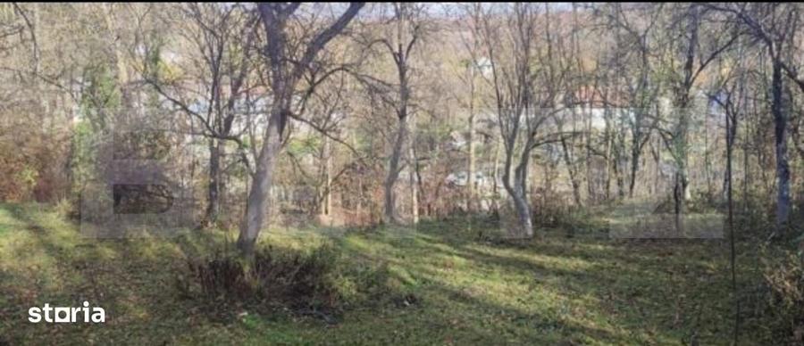Teren de vanzare, 3.463 mp, priveliste deosebita, zona montana Runcu - 3
