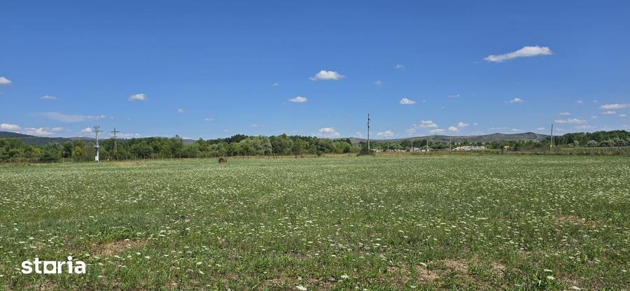 Teren in zona Rascruci ideal pentru hala, toate utilita?ile - 10