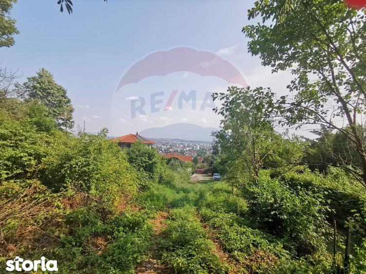 Teren de 756 mp, în Săsar