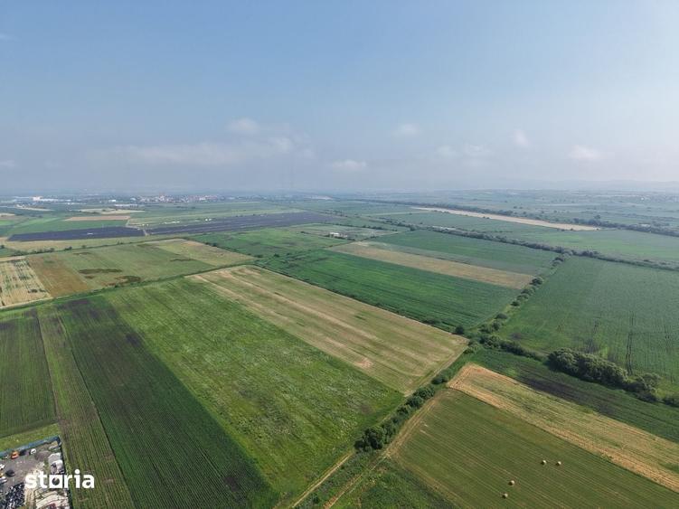 Teren de 52700 mp, în Stupini