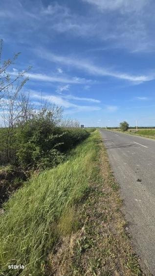 Teren de 500 mp, în Păulești