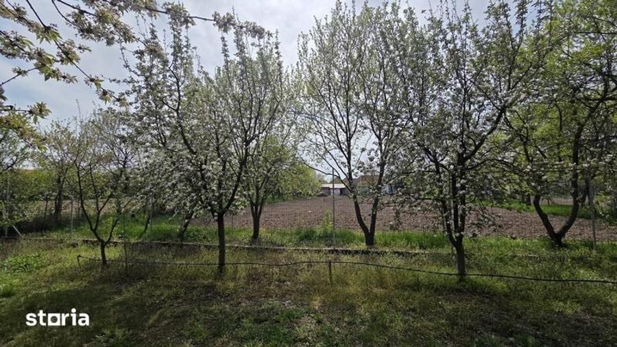 Teren de 1400 mp, în Bujac