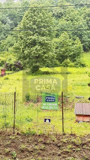 Teren Construcții intravilan de 6200 mp, în Tăuții-Măgherăuș