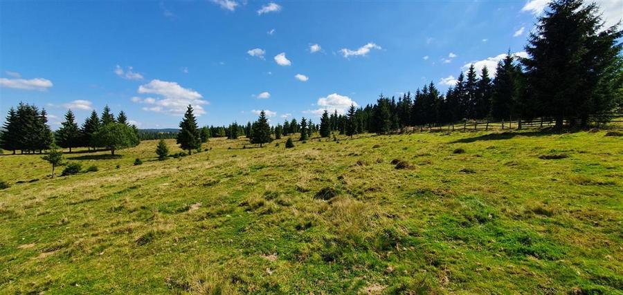 Teren Construcții de 1350 mp, în Beliș
