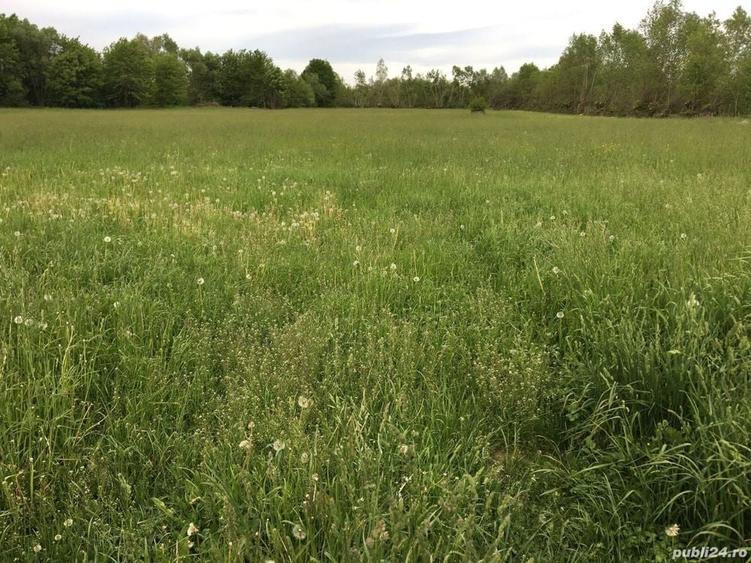 Teren de 30000 mp, în Crăcăoani