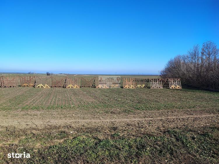 Teren de 5000 mp, în Tecuci