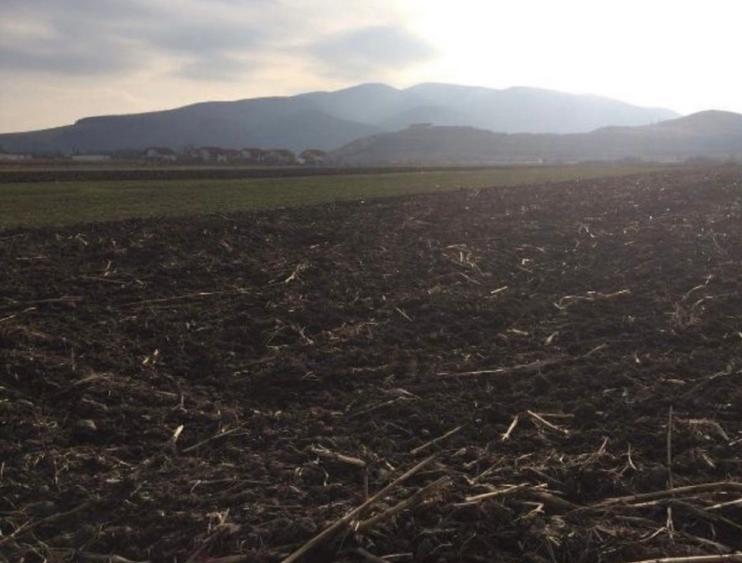 Teren Construcții intravilan de 3000 mp, în Șard