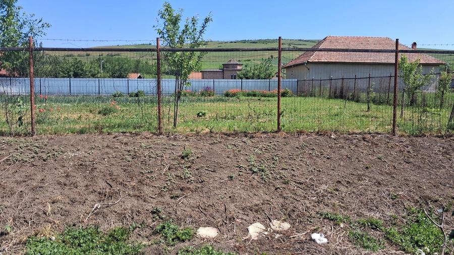 Teren de 17000 mp, în Căianu
