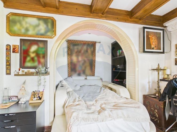 Apartament cu terasă într-o vilă interbelică B-dul Primaverii - 9