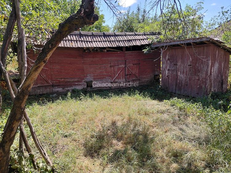 Casa 3 camere + Sura si anexe