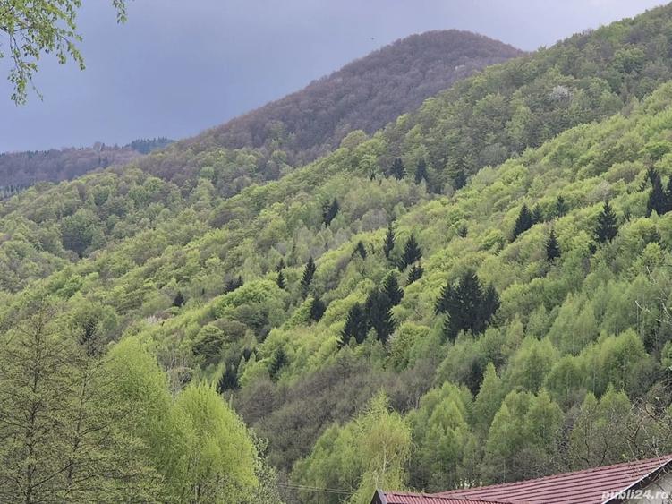 Casă cu 6 camere cu Teren 1000 Mp în Marga