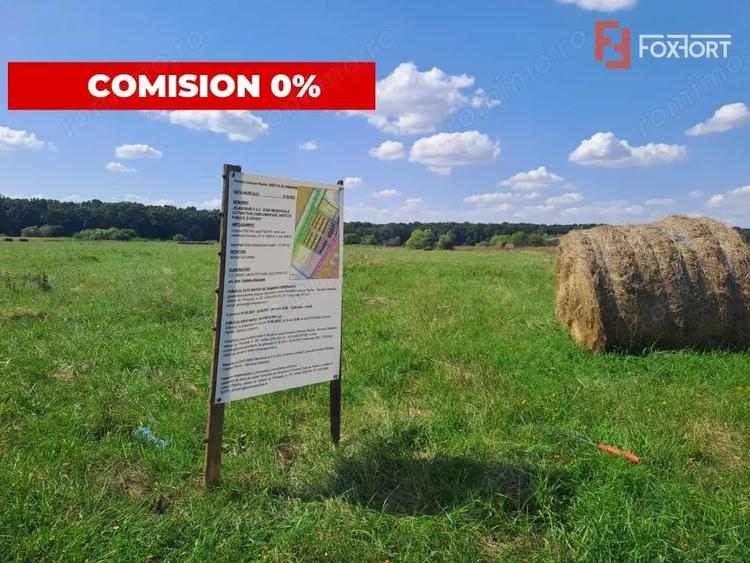 Teren de 700 mp, în Pișchia