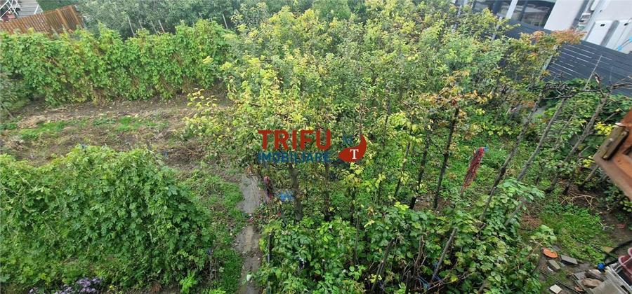 Teren Construcții intravilan de 500 mp, în Ampoi 1