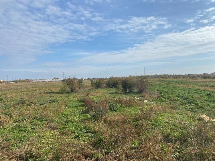 Teren de 3700 mp, în Mărăcineni