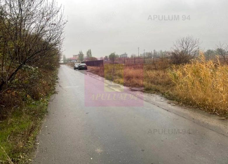 Teren Soseaua Alexandriei- Pasarela Bragadiru. - 1