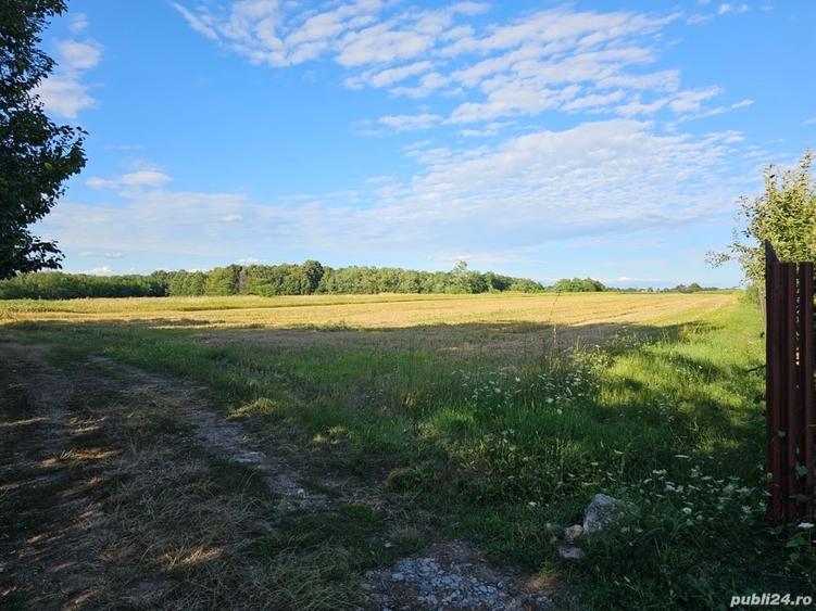 Teren de 11000 mp, în Lăceni