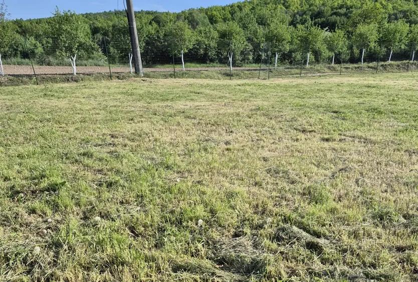 Teren de 791 mp, în Prislopu Mic