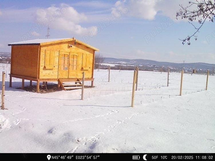 Teren de 16800 mp, în Sibiel