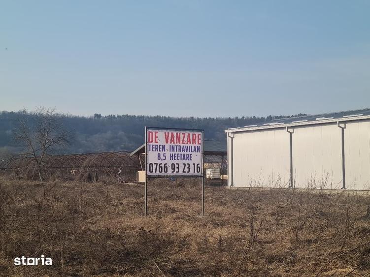 Teren de 86312 mp, în Mărăcineni