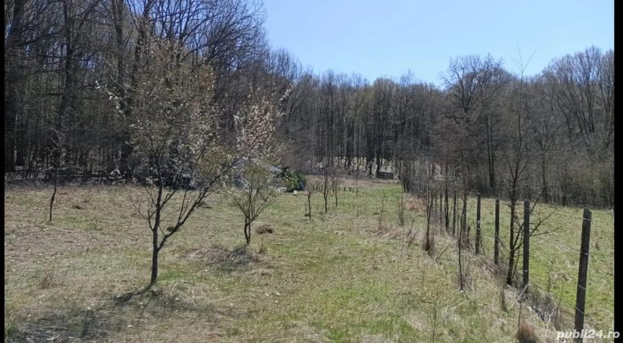 Teren de 4466 mp, în Hârsa